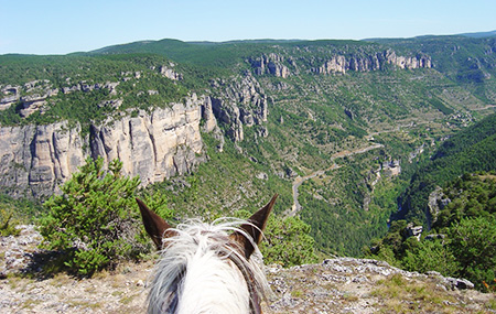 Panorama et cheval