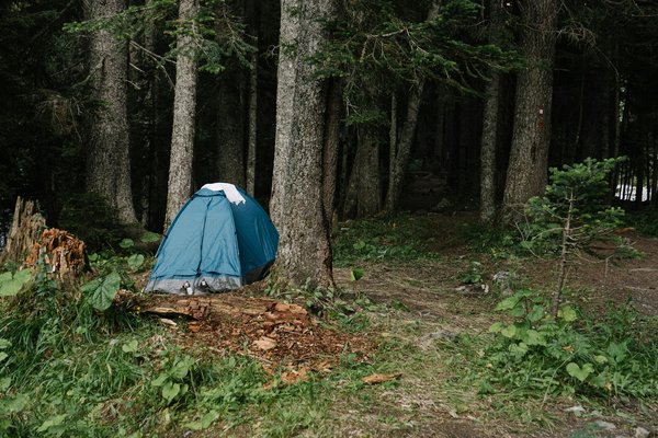 Applications Mobiles Incontournables pour les Amateurs de Camping-Car : Votre Guide Essentiel